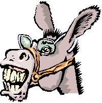 happy-donkey.gif